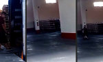 Lustiges Video : Effizienter arbeiten, nicht härter, und mit mehr Fun