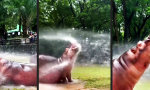 Funny Video - Hydrodynamische Gesichtszüge