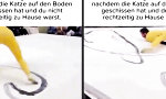 Lustiges Video : Die Kreisbahn der Verzweiflung