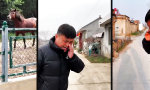 Funny Video : Artübergreifende Konversation