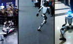 Funny Video - Erst aufstehen, dann Weltherrschaft