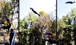 Lustiges Video : Personalaufwand pro Flugminute