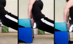 Movie : Der Personal Trainer hat vier Pfoten