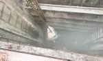 Funny Video : Ungeheuer aus dem Abwasser