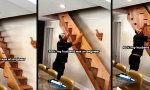 Lustiges Video : Tischlerkunst trifft Schwiegertöchter-Memes