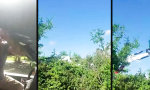 Lustiges Video - Willkommen im Jurassic Park
