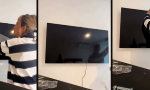 Movie : Bis Samsung das letzte Wort spricht