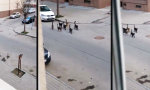 Movie : Die Reviergrenze verläuft mitten auf der Straße