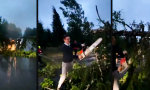 Movie : Berufsverkehr mit Eigenleistung