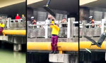 Stapellauf vor ausverkaufter Brücke