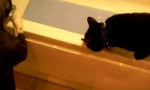 Movie : Guess what happens