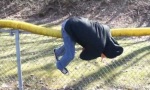 Funny Video - Nussknacker-Backflip