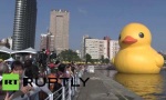 Monster-Ente