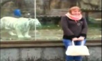 Funny Video : Tiger im Nacken